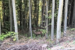 IMG_20261005_171211440_HDR