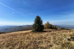 IMG_20261006_141440305_HDR