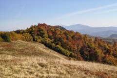 IMG_20261006_141652912_HDR
