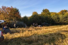IMG_20261007_082313464_HDR