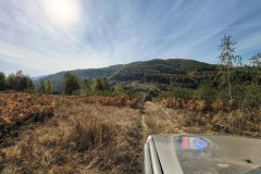 IMG_20261007_105100470_HDR