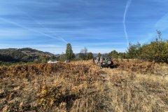IMG_20261007_105520128_HDR