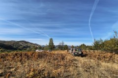 IMG_20261007_105521830_HDR