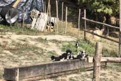 IMG_20261007_121410167_HDR