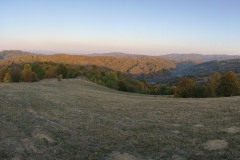 IMG_20261008_081214513