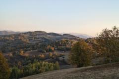 IMG_20261008_081244146_HDR