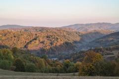 IMG_20261008_081247481_HDR
