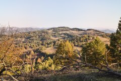 IMG_20261008_092345090_HDR