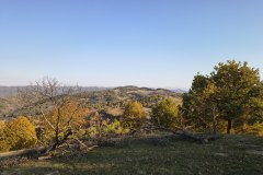 IMG_20261008_092354054_HDR