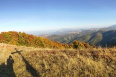 IMG_20261008_165930227