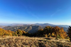 IMG_20261008_165950003_HDR