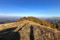 IMG_20261008_165953024_HDR