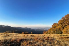 IMG_20261008_180151732_HDR