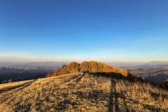 IMG_20261008_180948068_HDR