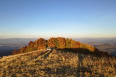 IMG_20261008_180954208_HDR