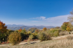 IMGP8349