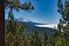 Teide