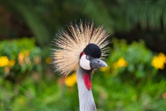 Loro Park
