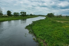 IMGP7306