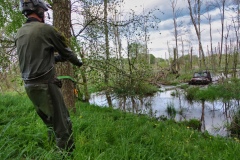 IMGP9656
