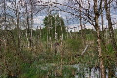 IMGP9675