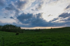 IMGP9677
