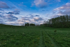 IMGP9684