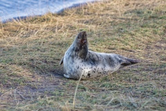 IMGP1381