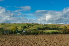 IMGP6442