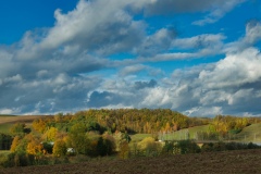 IMGP6445
