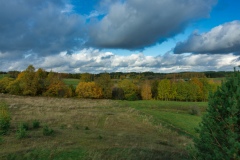 IMGP6449