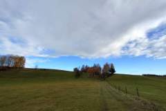IMG20211023085706