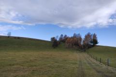 IMG20211023085713