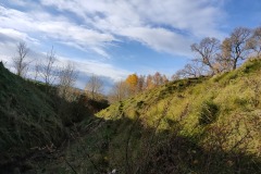 IMG20211023092740